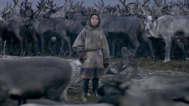 О чем фильм Цинга