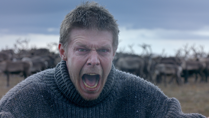 О чем фильм Цинга