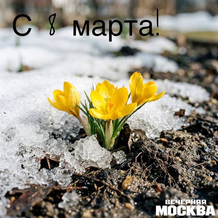 Открытки к 8 Марта: скачать бесплатно