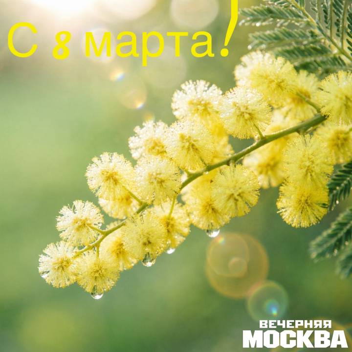 Открытки к 8 Марта: скачать бесплатно