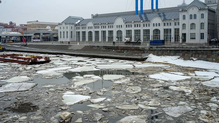 Фото: Дмитрий Дубинский / Вечерняя Москва