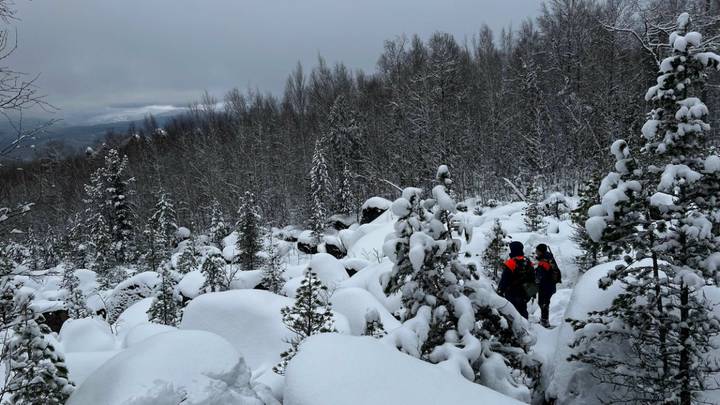 Последние новости об Усольцевых: фейк о найденных телах, новые версии, поиски, что говорят следователи