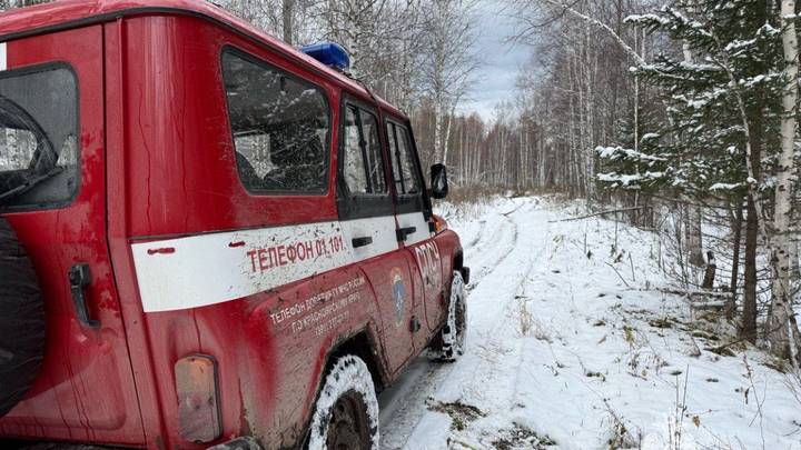 Последние новости об Усольцевых: фейк о найденных телах, новые версии, поиски, что говорят следователи