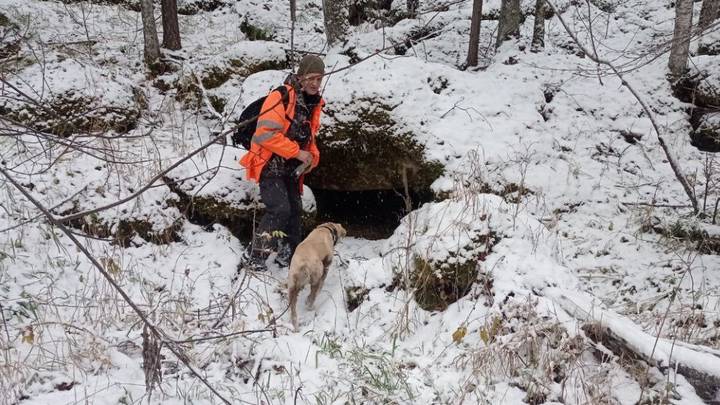 Последние новости об Усольцевых: фейк о найденных телах, новые версии, поиски, что говорят следователи