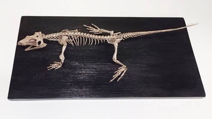 Почти 55 тысяч различных экспонатов пополнили московский музейный фонд за год