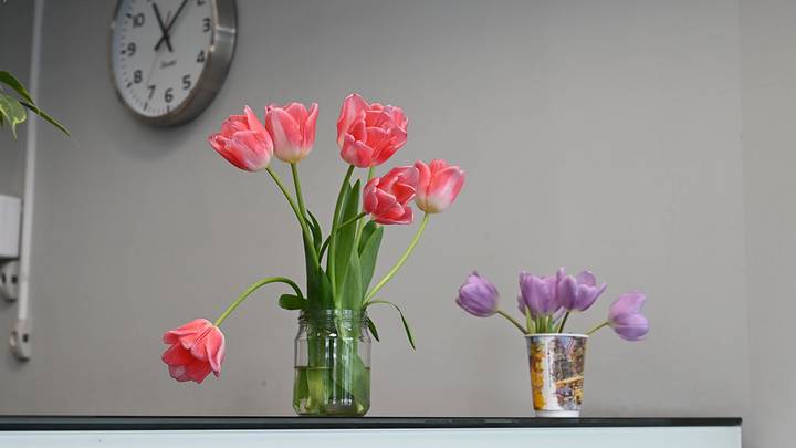 Фото: Анатолий Цымбалюк / Вечерняя Москва