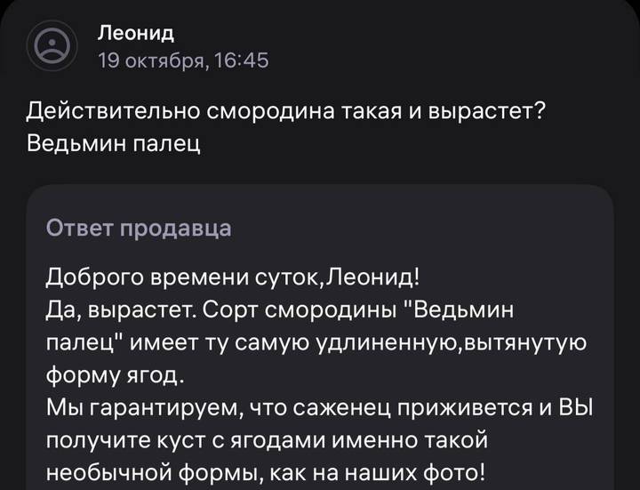 Фото: скриншот