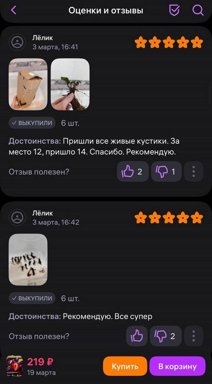 Фото: скриншот