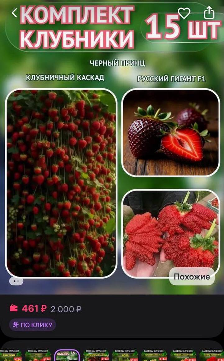 Фото: скриншот