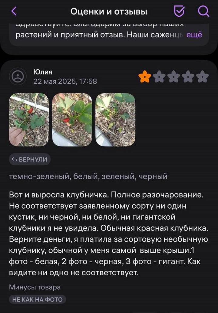 Фото: скриншот