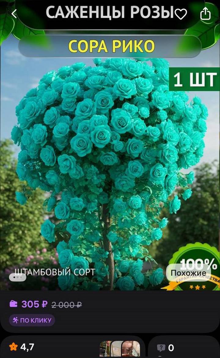 Фото: скриншот