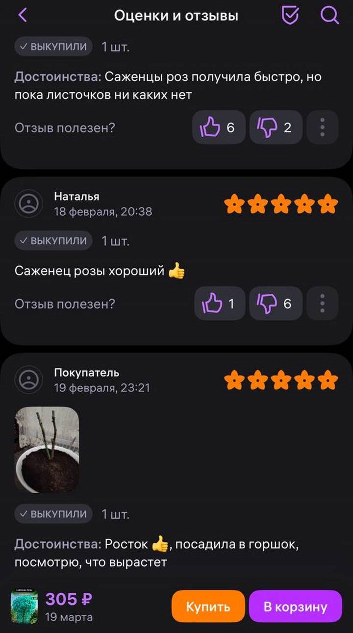 Фото: скриншот