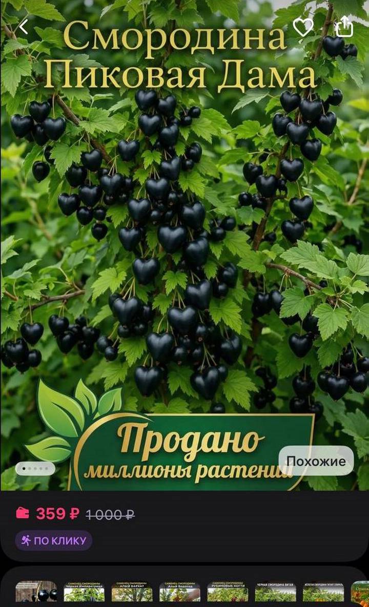 Фото: скриншот