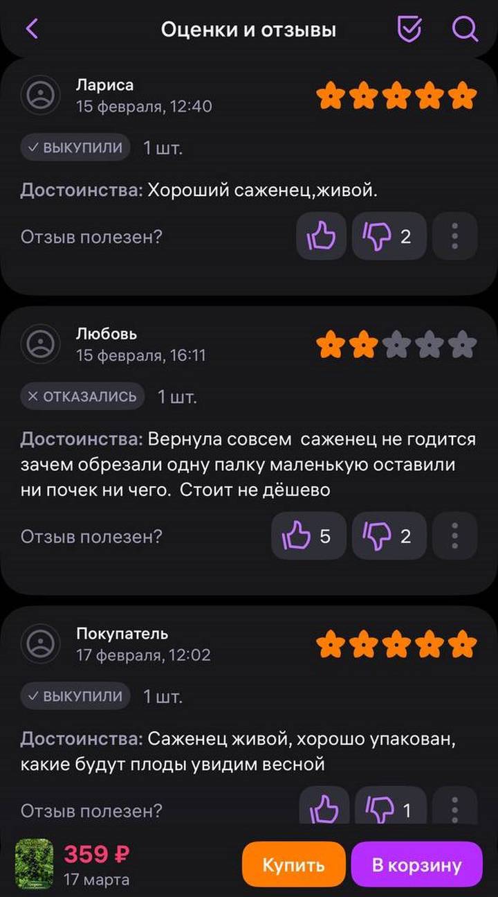 Фото: скриншот