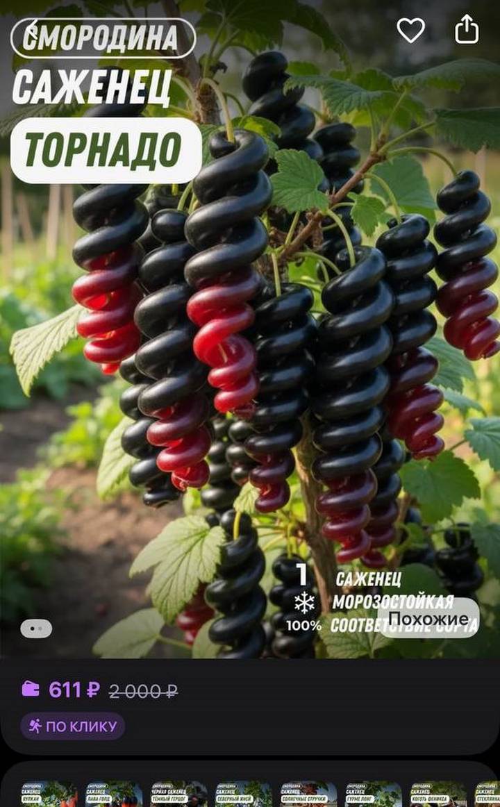 Фото: скриншот