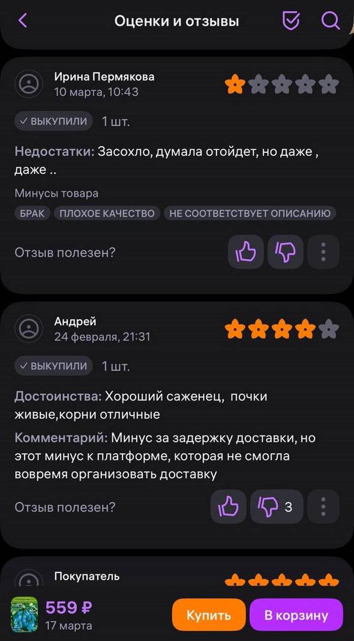 Фото: скриншот