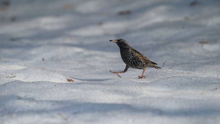 Фото: Пелагия Замятина / Вечерняя Москва