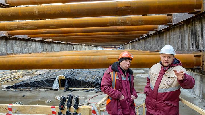 Фото: Дмитрий Дубинский / Вечерняя Москва