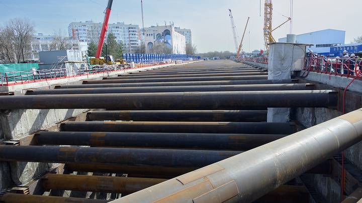 Фото: Дмитрий Дубинский / Вечерняя Москва