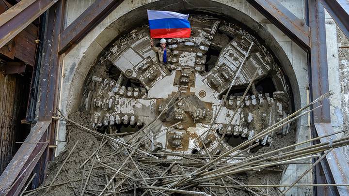 Фото: Дмитрий Дубинский / Вечерняя Москва