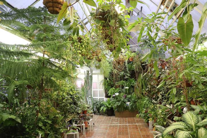 Какие экскурсии посетить в Москве этой весной