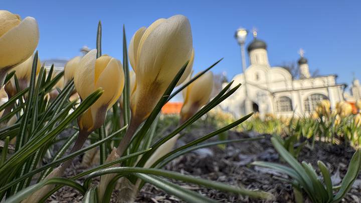 Фото: Анатолий Цымбалюк / Вечерняя Москва