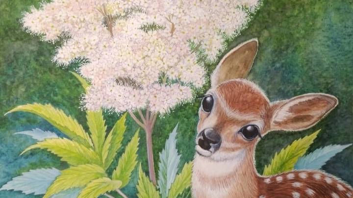 «Сказки из Загорья» Алены Устиновой