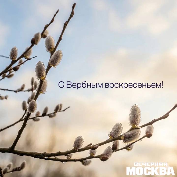 Открытки «С Вербным воскресеньем» 2026: красивые поздравительные картинки