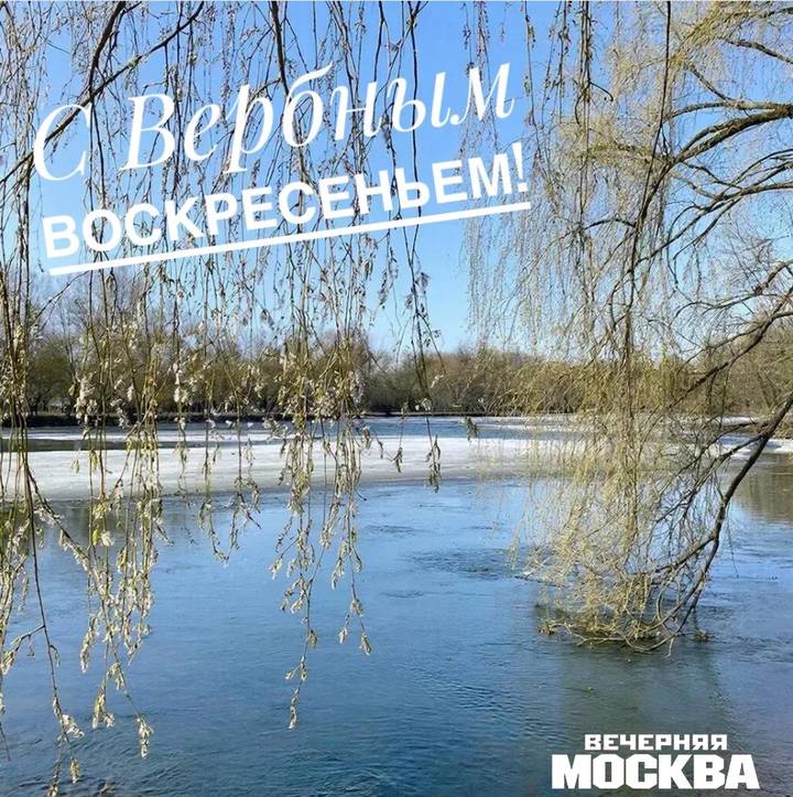 Открытки «С Вербным воскресеньем» 2026: красивые поздравительные картинки