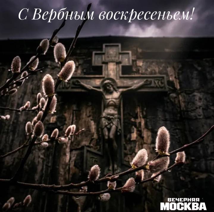Открытки «С Вербным воскресеньем» 2026: красивые поздравительные картинки