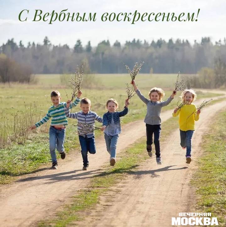 Открытки «С Вербным воскресеньем» 2026: красивые поздравительные картинки