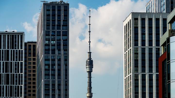 Фото: Дмитрий Дубинский / Вечерняя Москва