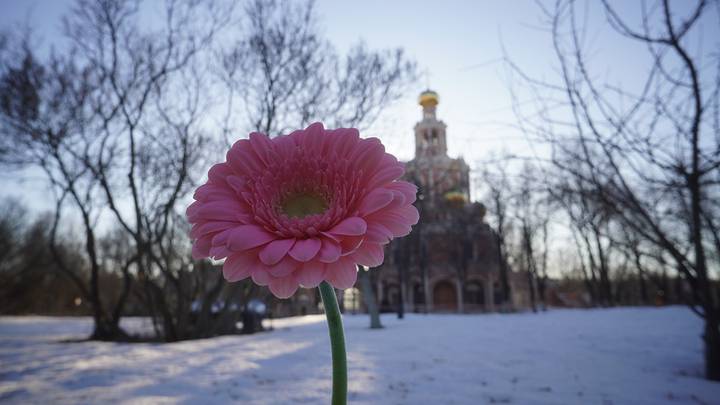 Фото: Анатолий Цымбалюк / Вечерняя Москва