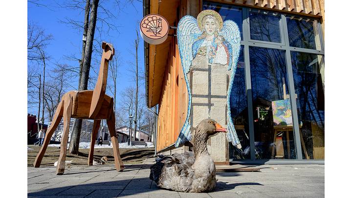 Фото: Дмитрий Дубинский / Вечерняя Москва