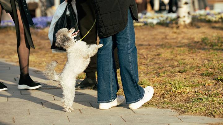Фото: Андрей Прошин / Вечерняя Москва