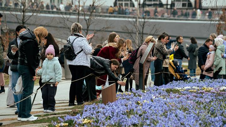 Фото: Андрей Прошин / Вечерняя Москва