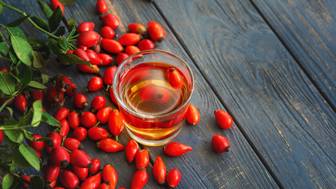 Новый ГОСТ на шиповник введут в России впервые за 30 лет