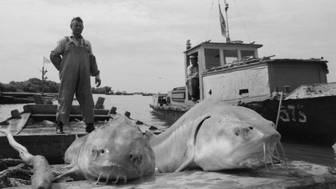 А рыба в Волге будет!