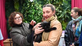 На мероприятии «Моспитомец х Четвероногий друг» нашли дом более 30 собак и кошек