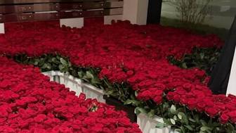 Девушка, которой привезли миллион роз в Раменках, отказалась от подарка из-за цвета