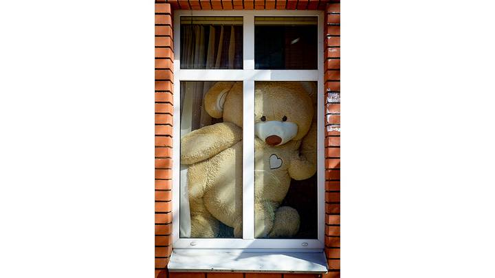 Фото: Дмитрий Дубинский / Вечерняя Москва