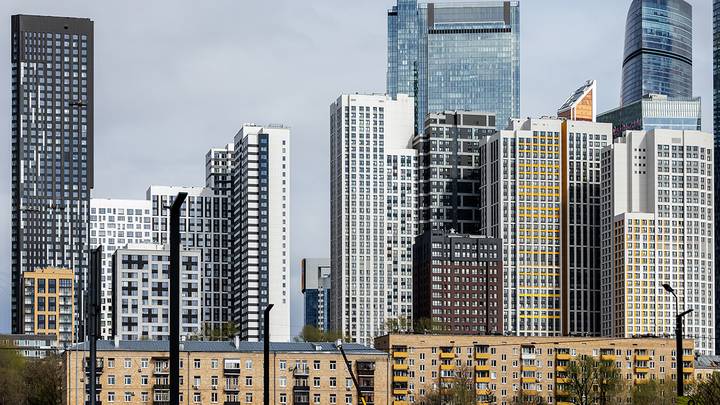 Фото: Дмитрий Дубинский / Вечерняя Москва