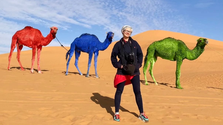 Why was the animal painted pink, cause of death, innocence