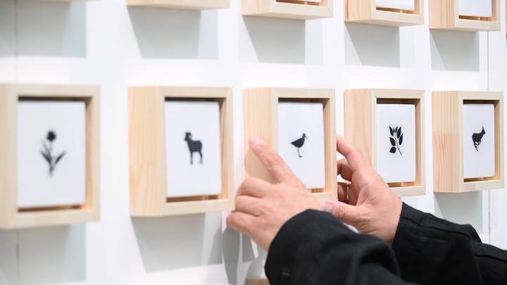 Открытие ярмарки современного искусства «Арт Россия» в Гостином дворе / Фото: Пелагия Замятина / Вечерняя Москва