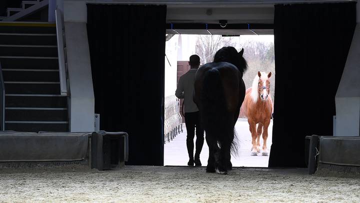Фото: Пелагия Замятина / Вечерняя Москва