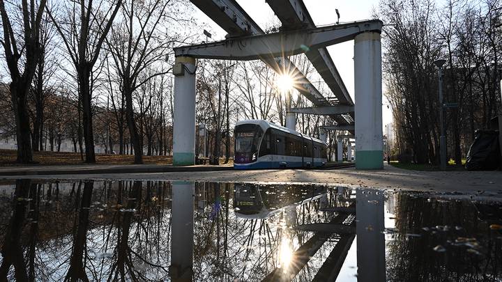 Фото: Анатолий Цымбалюк / Вечерняя Москва
