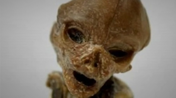 Кыштымский карлик, гуманоид Алешенька: что это, откуда он появился, куда пропал, детали расследования