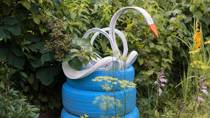 Фото: Shutterstock