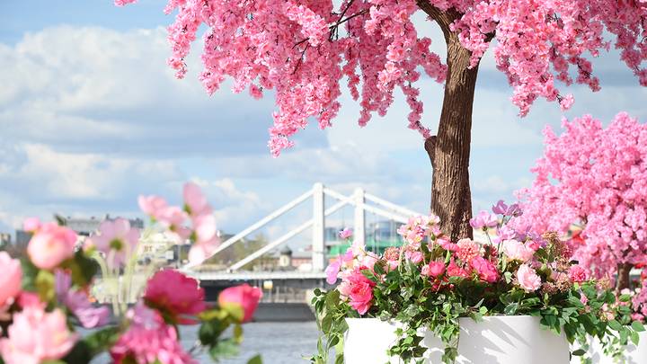 Фото: Пелагия Замятина / Вечерняя Москва