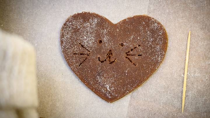 Фото: Дмитрий Дубинский / Вечерняя Москва